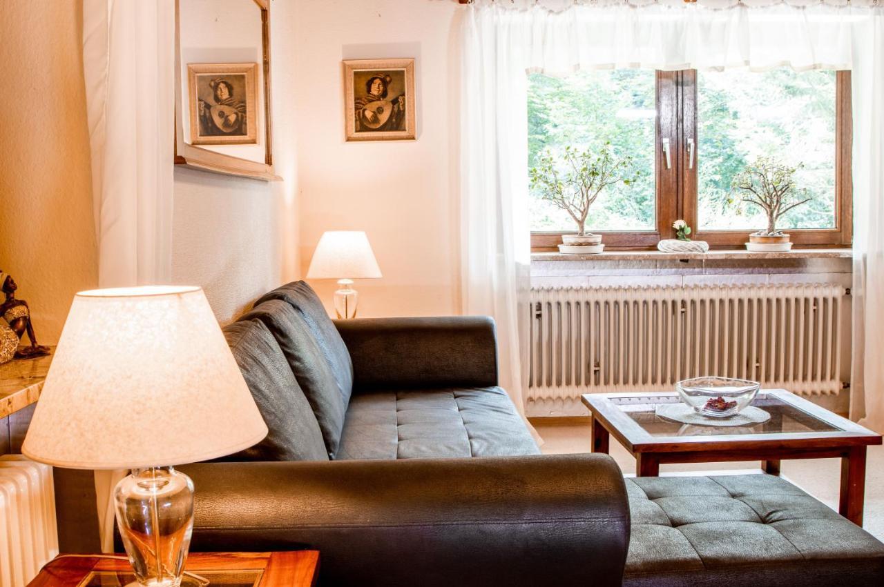 באייריש אייסנשטיין Apartments Haus Martin מראה חיצוני תמונה
