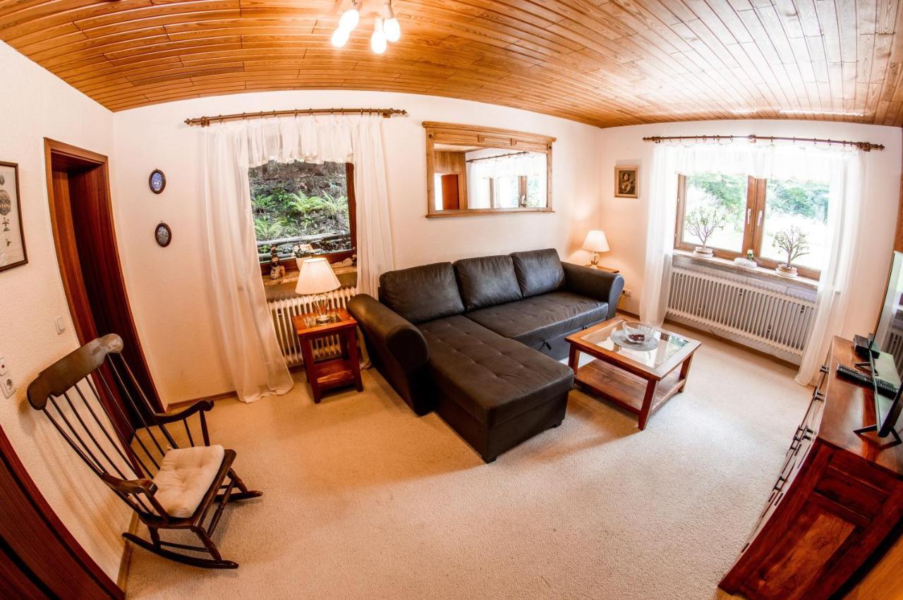 באייריש אייסנשטיין Apartments Haus Martin מראה חיצוני תמונה