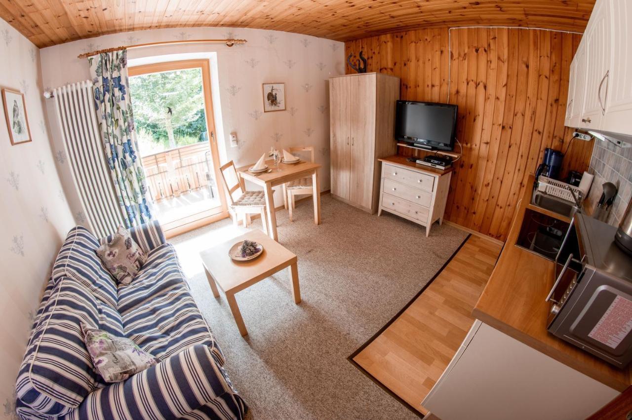 באייריש אייסנשטיין Apartments Haus Martin מראה חיצוני תמונה